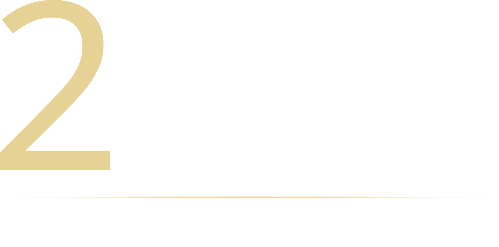 Segundo Informe